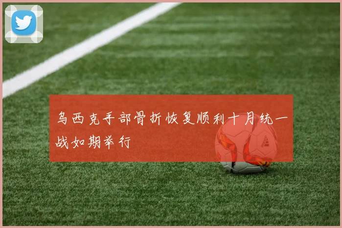 乌西克手部骨折恢复顺利十月统一战如期举行