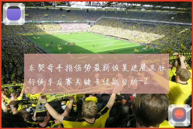 东契奇手指伤势最新恢复进展及独行侠季后赛关键卡位战分析