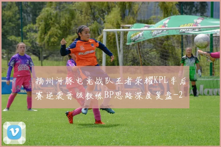 扬州河豚电竞战队王者荣耀KPL季后赛逆袭晋级教练BP思路深度复盘