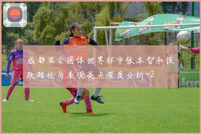 成都混合团体世界杯中张本智和技改路径与表现亮点深度分析